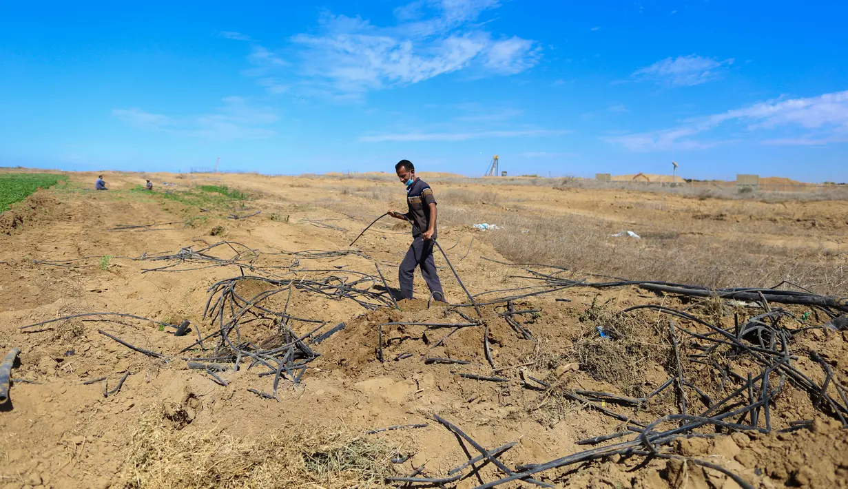 Seorang petani Palestina memeriksa lahan pertaniannya setelah buldoser tentara Israel merusak sebagian lahan itu, yang berada di sebelah timur Khan Yunis di perbatasan Jalur Gaza selatan (13/10/2020). (Xinhua/Yasser Qudih)