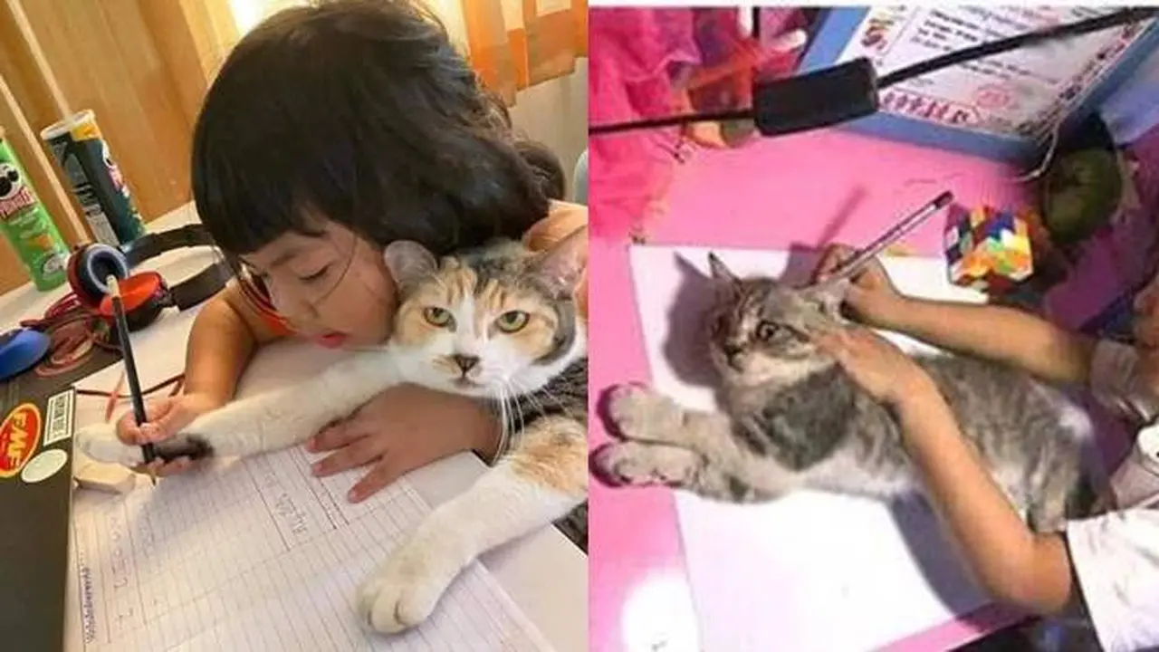 6 Potret Nyeleneh Anak Belajar Bareng Kucing Ini Bikin Geleng Kepala