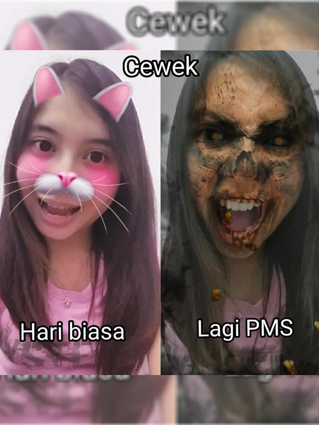 Deretan Meme Wanita Saat PMS, Nyeremin tapi Bikin Ketawa Geli