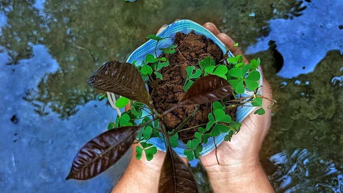 Mengenal Hari Lingkungan Hidup Sedunia yang Diperingati Tiap 5 Juni