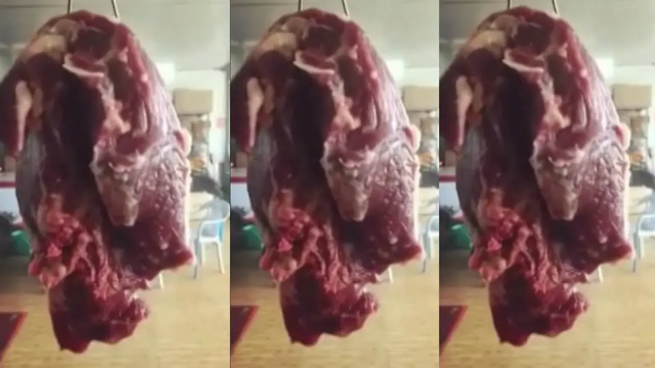 Daging yang berdenyut. (Daily Mail)