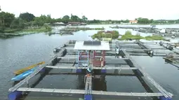 PLN Indonesia Power Kembangkan Empat Proyek PLTS Raksasa