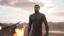 Black Panther (IMDb/ Marvel Studios)