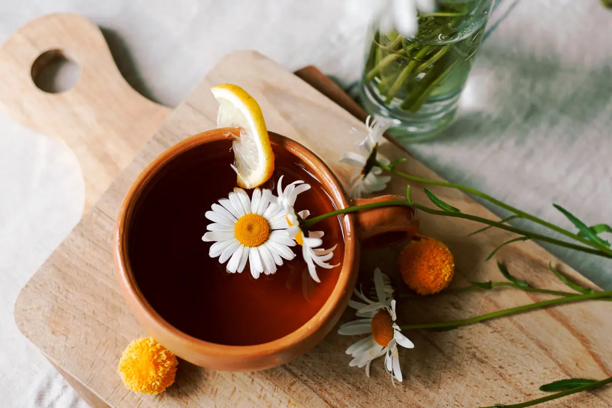 teh chamomile