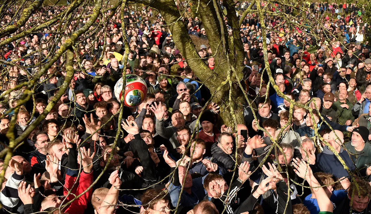 Para peserta berebut bola dekat pohon saat mengikuti Royal Shrovetide Football Match di Ashbourne, Derbyshire, Inggris, Selasa (5/3). Pertandingan ini mempertemukan orang-orang yang terpisah oleh Sungai Derwent di kota tersebut. (Oli Scarff/AFP)