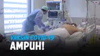 vaksin covid-19