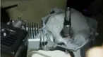 Barang bukti 100 kilogram sabu tersebut tersimpan di dalam 98 unit mesin genset.
