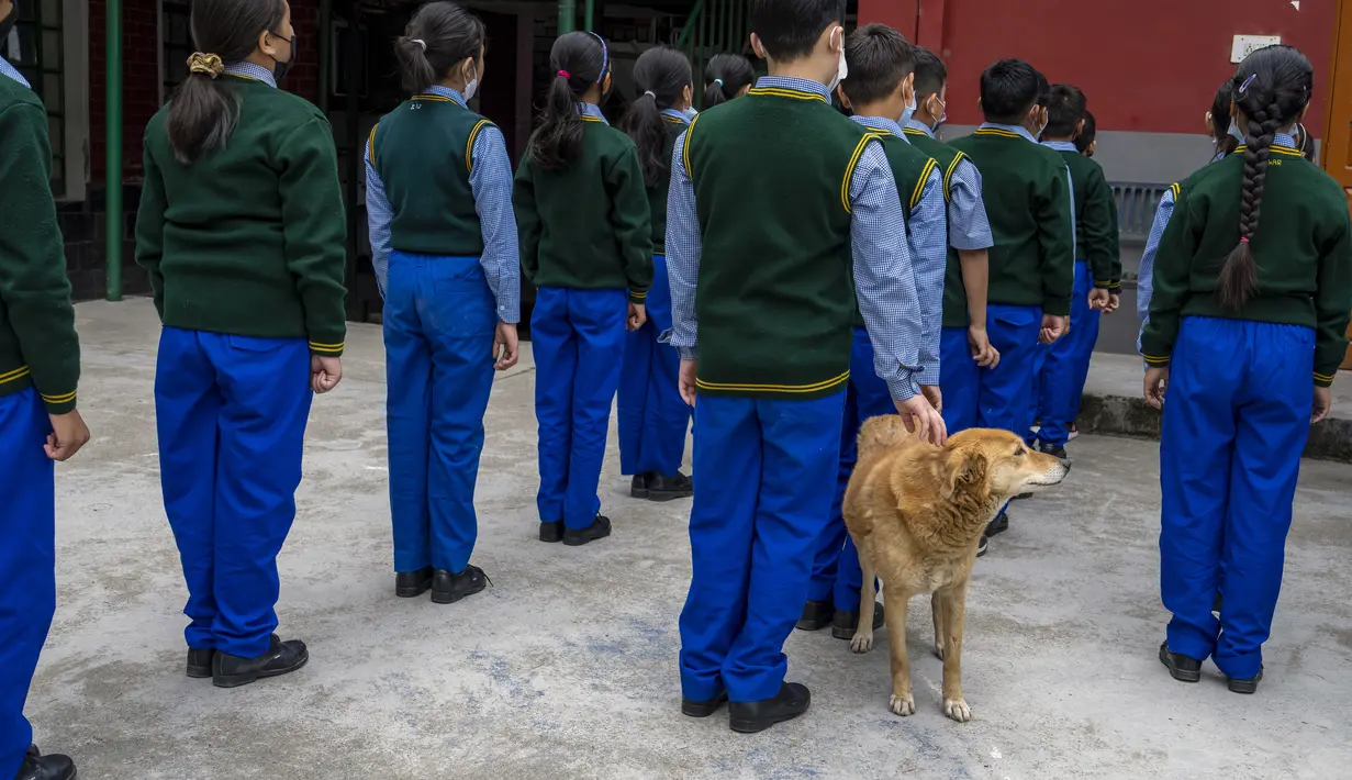 Seekor anjing berdiri di antara anak-anak Tibet di pengasingan selama pertemuan pagi di Sekolah Hari Desa Anak-anak Tibet di Dharmsala, India (24/3/2022). Kehidupan sekolah perlahan kembali normal setelah sempat terganggu akibat pandemi COVID-19. (AP Photo/Ashwini Bhatia)