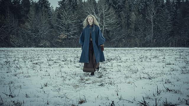 The Witcher (Netflix)