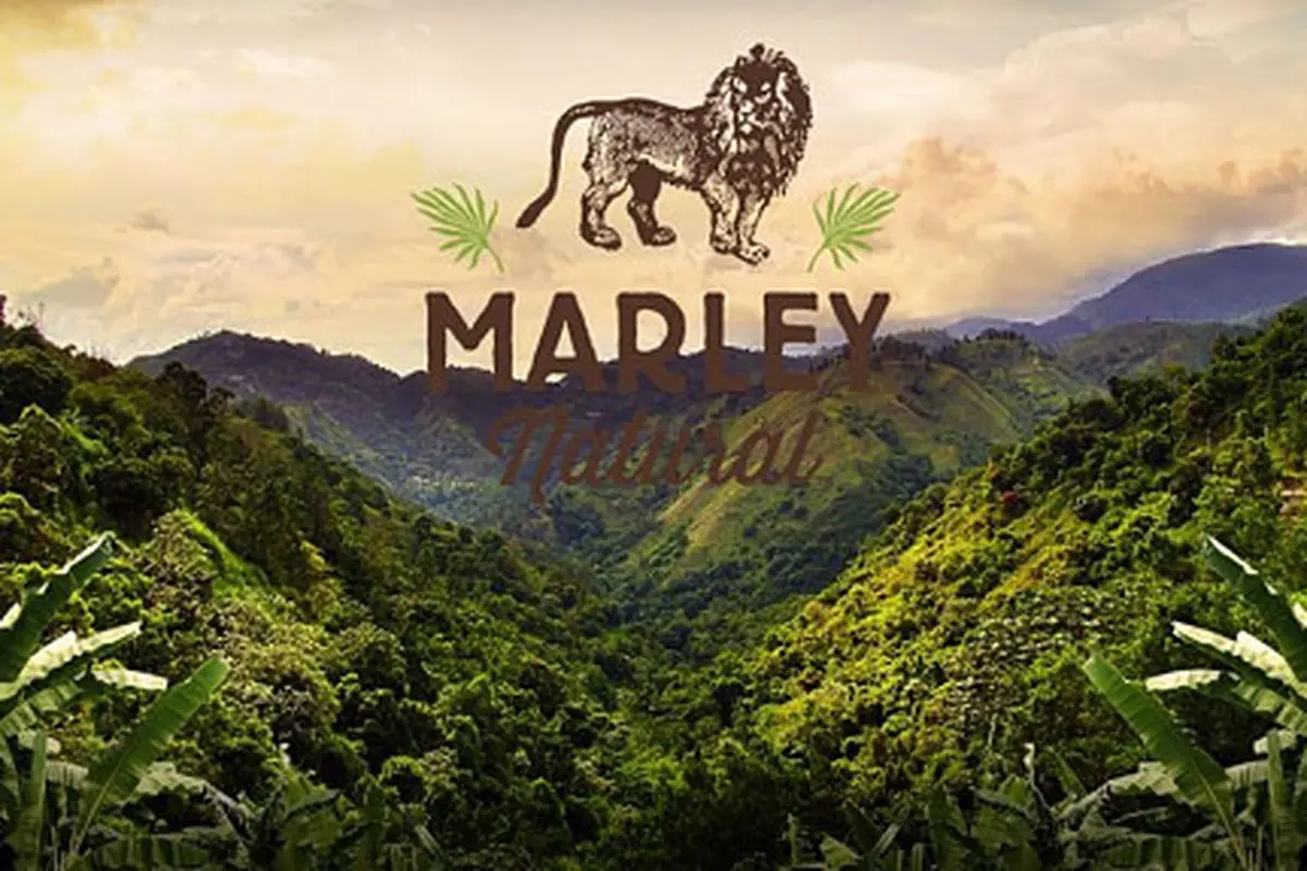Produk ganja keluaran keluarga Bob Marley. (Telegraph)