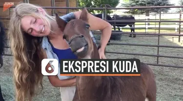 Sebuah video viral di media sosial yang menunjukkan seekor kuda tersenyum-senyum ketika seorang wanita cantik membelai lehernya.