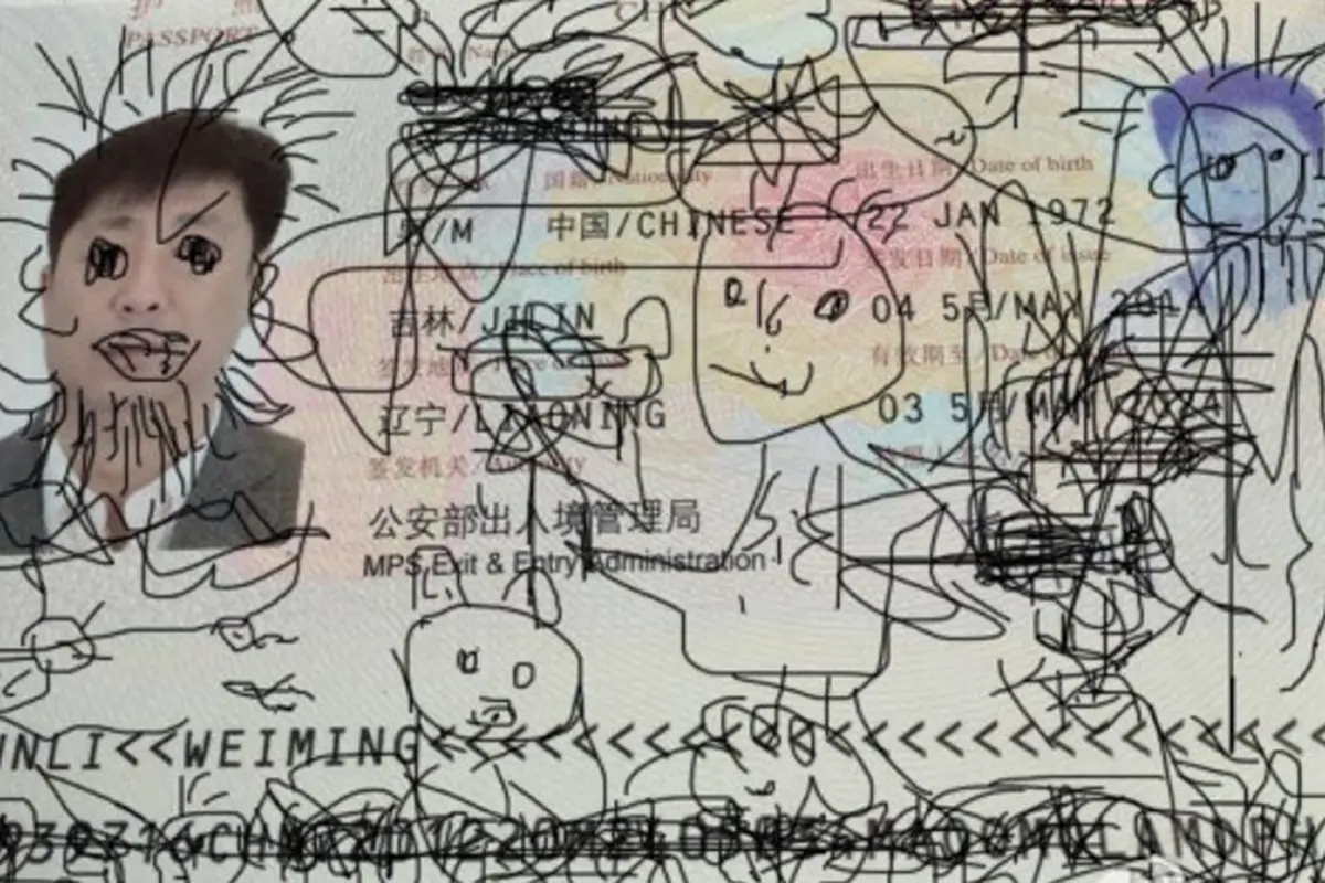 Painted Passport 0514 1