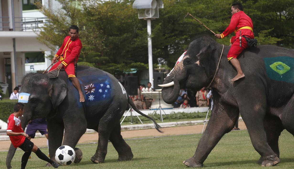 Sejumlah gajah bermain sepak bola dengan badan dilukis bendera peserta Piala Dunia 2018 di Ayutthaya, Selasa (12/6/2018). Kegiatan yang dilakukan Sekolah Ayutthaya Wittayalai ini dilakukan untuk memeriahkan Piala Dunia. (AP/Sakchai Lalit)