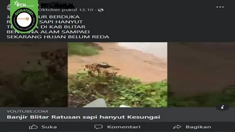 Gambar Tangkapan Layar Video yang Diklaim Ratusan Sapi Hanyut Saat Banjir Menerjang Blitar (sumber: Facebook).