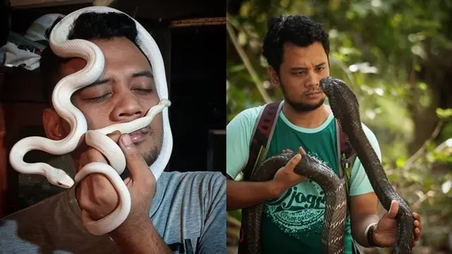 Meski pernah digigit ular berbisa, namun hal itu tak membuatnya jera untuk melanjutkan kecintaannya terhadap hewan reptil.
