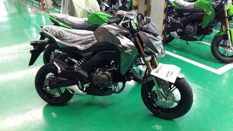 Kawasaki Siap Luncurkan ER-6N Versi Mungil