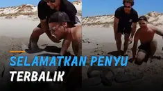 Sebuah momen tidak terduga dialami oleh beberapa pria ketika singgah di laut.