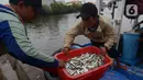 Nelayan tradisional menurunkan hasil tangkapan ikan di Pelabuhan Muara Angke, Jakarta, Sabtu (19/2/2022). Nelayan mengatakan hasil tangkapan ikan mulai membaik seiring pergantian musim dan angin barat. (merdeka.com/Imam Buhori)
