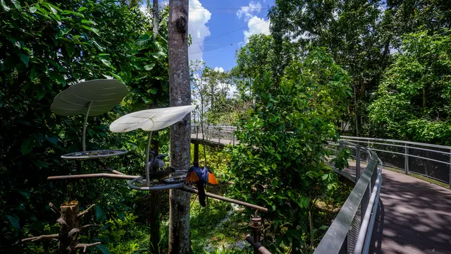 Resort Eksklusif di Cagar Alam Mandai Singapura Segera Dibuka April 2025, Tamu Dapat Akses Khusus Bertemu Hewan