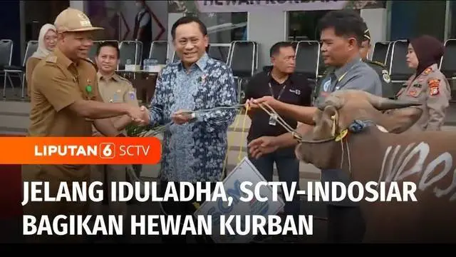 Jelang perayaan Iduladha, SCM grup SCTV-Indosiar membagikan hewan kurban pada masyarakat. Bantuan ini diharapkan dapat membantu mencukupi kebutuhan warga saat merayakan Iduladha.