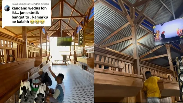 Viral Kandang Kambing di Tuban Curi Atensi, Warganet Sebut Estetik hingga bak di Perumahan Elite