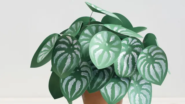 [Bintang] Dibuat dari Kertas, 11 Tanaman Ini Nggak Bikin Rumahmu Kotor