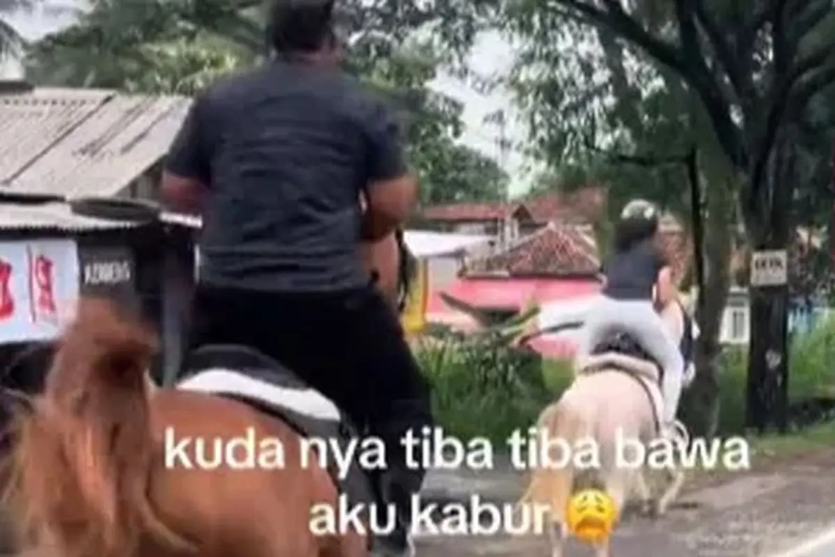 Seorang Wanita Dibawa Kabur Kuda, Nyaris Menabrak Mobil