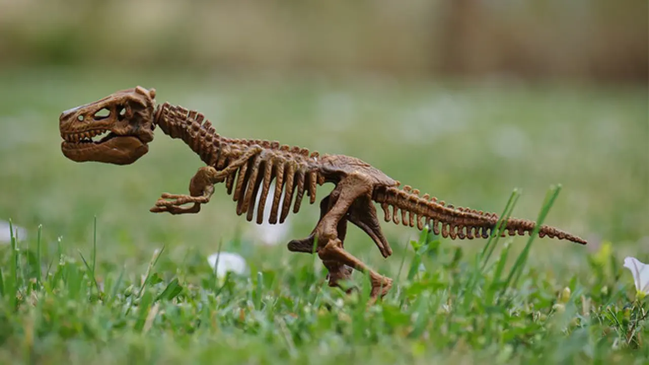 Ilmuwan Temukan Spesies Ayam Mirip Dinosaurus di Tiongkok