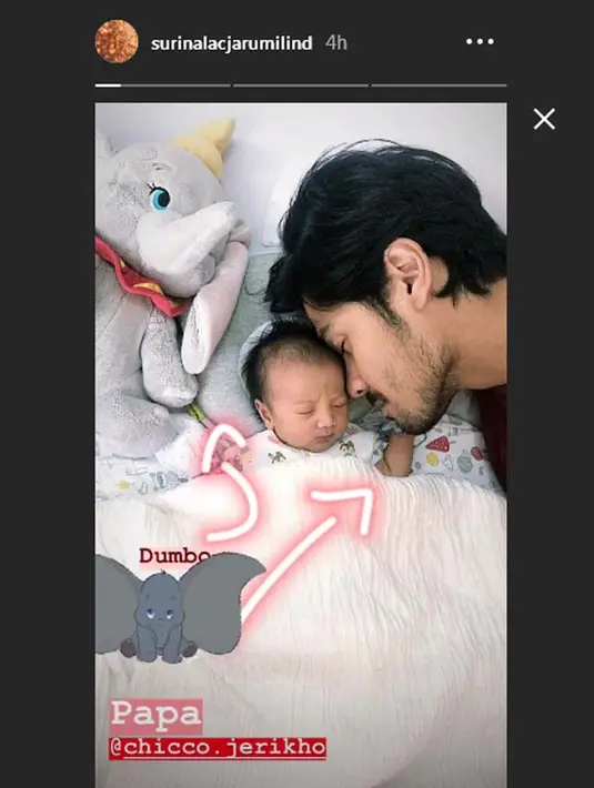 (Instagram/surinalacjarumilind)