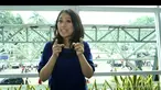 Sebelum dihukum mati, para terpidana mati kasus narkotika membuat daftar permohonan terakhir yang disampaikan langsung kepada Jaksa Agung.
