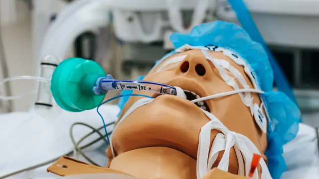 Penanganan Mati Batang Otak