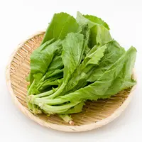 Ilustrasi sawi/copyright shutterstock