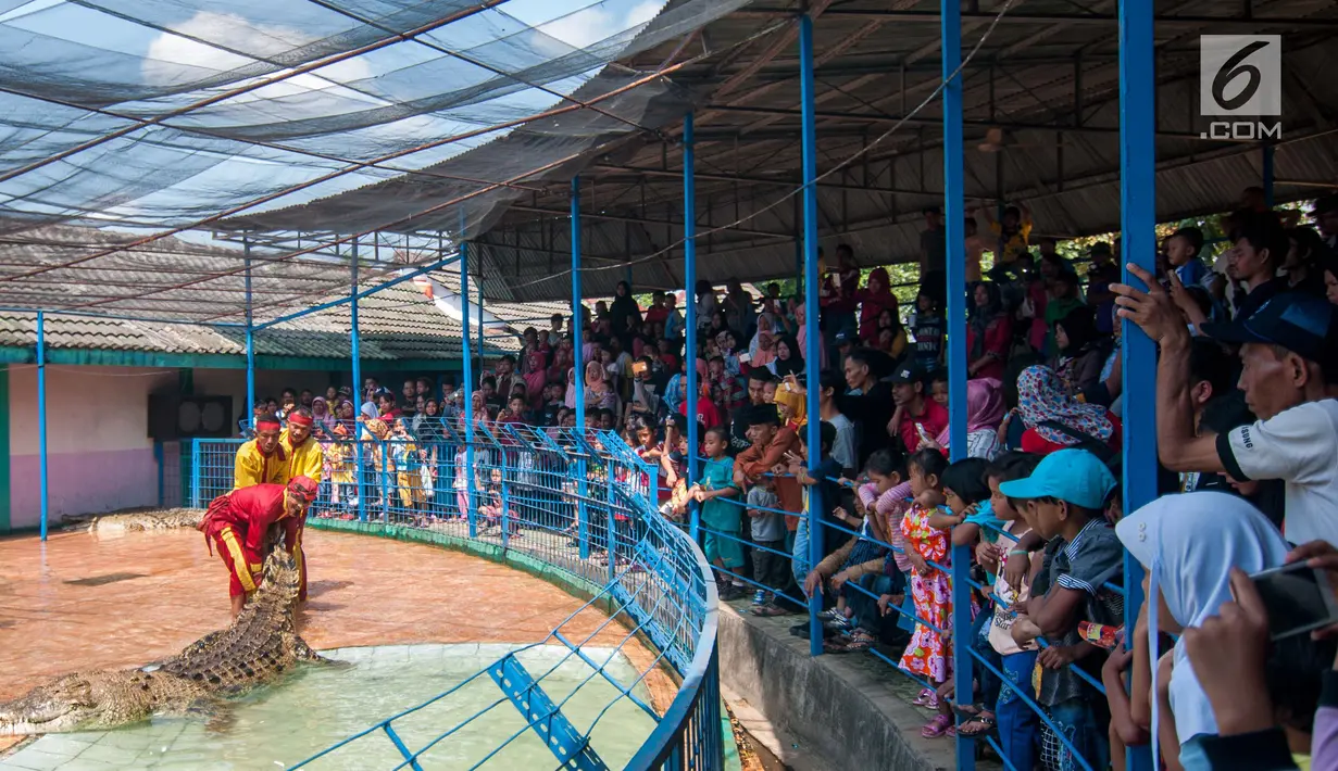 Pengunjung menyaksikan atraksi buaya oleh tiga pawang di Taman Buaya Indonesia Jaya, kabupaten Bekasi, Jawa Barat, Rabu (28/6). Para pawang ini sudah puluhan tahun bekerja sebagai pawang buaya di tempat ini. (Liputan6.com/Gempur M Surya)