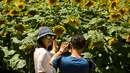 Pria mengabadikan foto seorang wanita di dekat bunga matahari di Olympic Forest Park, Beijing, China (10/7). Pihak berwenang mengeluarkan peringatan gelombang panas yang diperkirakan melonjak di atas 95 derajat (35 C ). (AP Photo/Mark Schiefelbein)