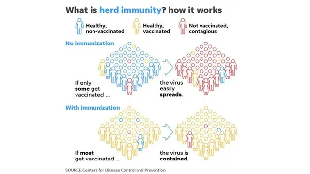 Herd Immunity Disebut Bisa Perlambat Penyebaran Virus Corona, Kenali Cara Kerjanya