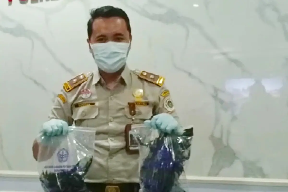 Petugas menunjukkan gagak hitam yang diselundupkan warga Surabaya. (Dian Kurniawan/Liputan6.com)