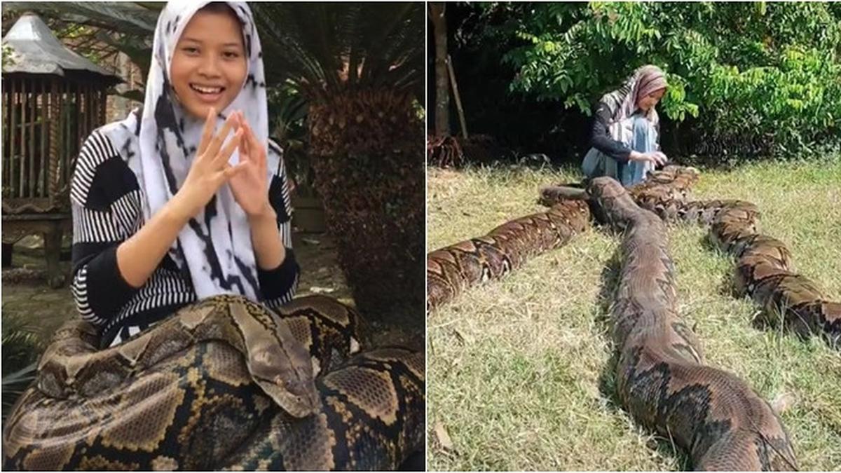 Homiladorlik davrida bilobed platsenta