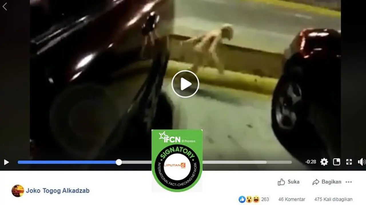 [Cek Fakta] Gambar Tangkapan Layar Video Penampakan Mahluk Aneh
