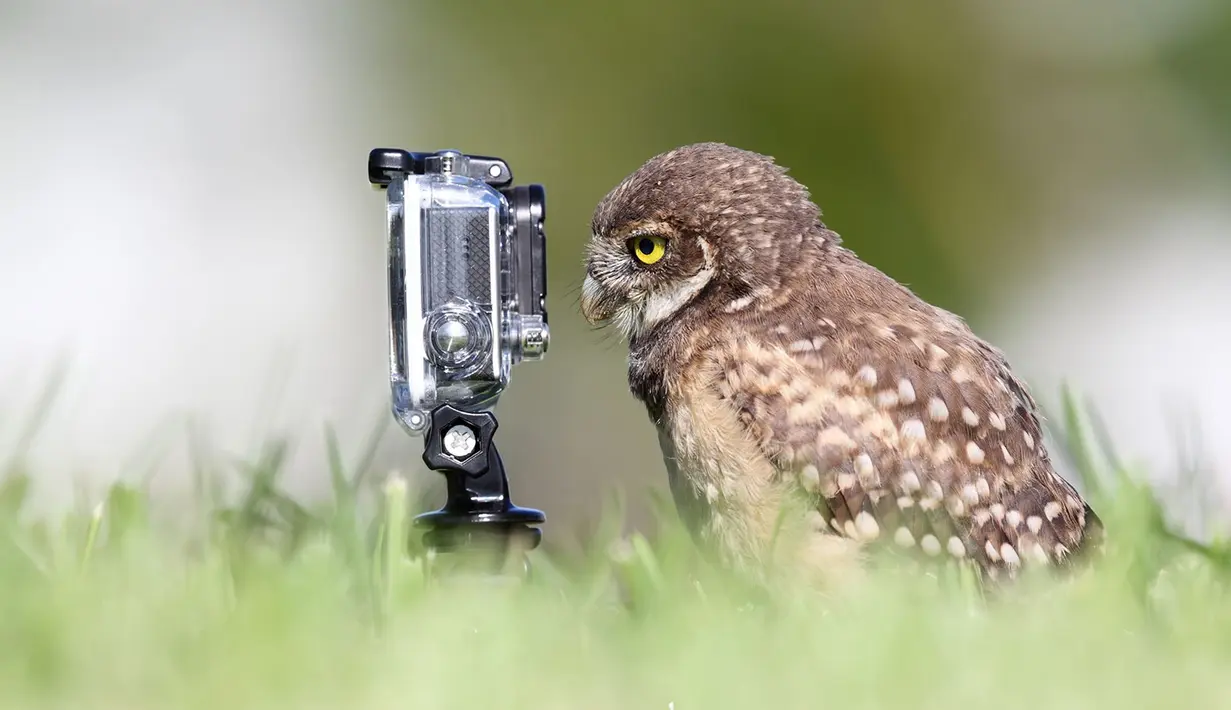 Mau selfie, tapi bagaimana cara pencetnya yah?(boredpanda.com)