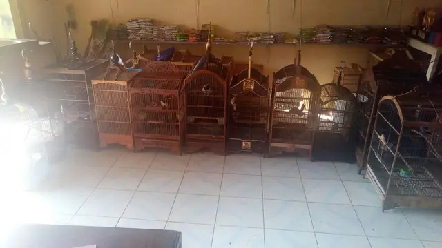 Beda Nasib Pencuri Burung dan Pencuri Benda Pusaka Keraton Solo