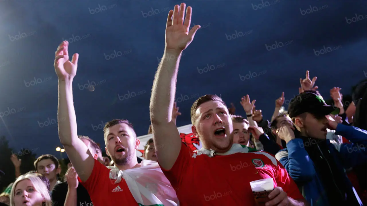 Suporter Wales