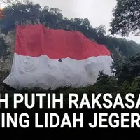 VIDEO: Pecahkan Rekor Muri! Merah Putih Raksasa Berkibar di Tebing Lidah Jeger