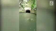 Kejadian ganjil dialami Debi Morales dan teman-temannya saat berwisata di Isabela River Canals, Puerto Rico. Debi dkk melihat sosok misterius menyelam di dalam air.