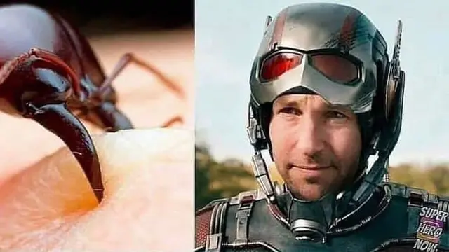 9 Foto Awal Mula Superhero ala Netizen yang Kocak Banget