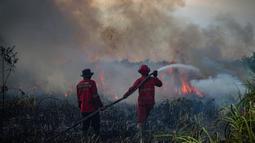 Kebakaran hutan dan lahan (karhutla) kembali meluas di Sumatera Selatan (Sumsel). (AL ZULKIFLI/AFP)