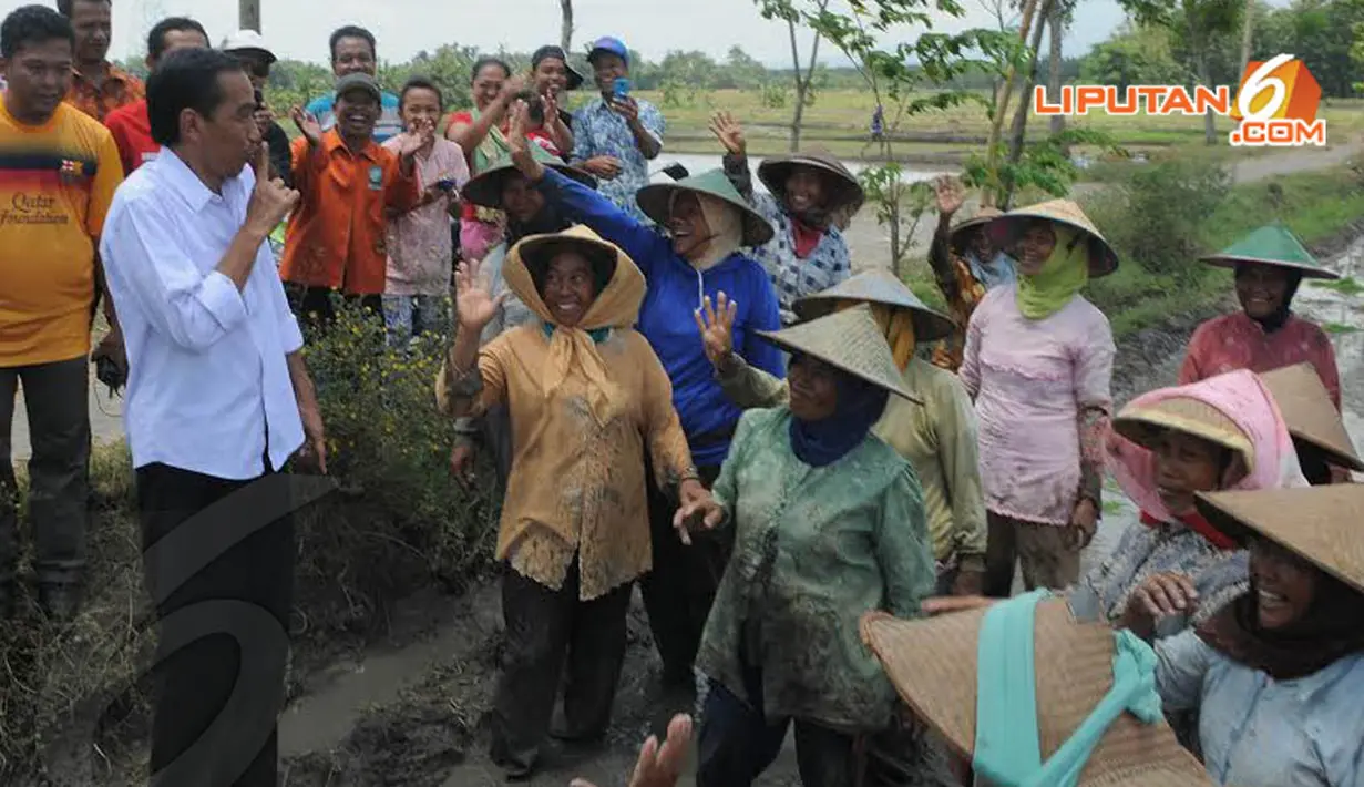 Jokowi pun mencoba mengakrabkan diri dengan para petani usai mengunjungi rumah pendiri Budi Utomo, Dr Radjiman Widyodiningrat (Liputan6.com/Herman Zakharia)