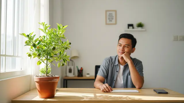 Tanaman Buah Dalam Pot Kecil Untuk Meja Kerja Biar Lebih Fresh