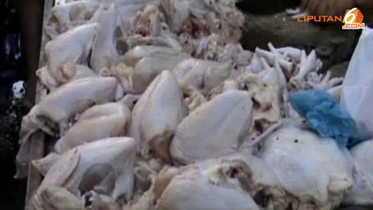 harga-ayam-130922b.jpg