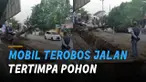 Sebuah mobil tertimpa pohon di jalan padahal sudah diingatkan.