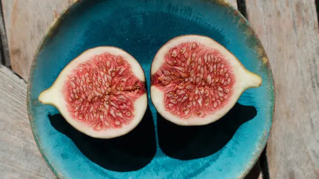 Jenis buah tin